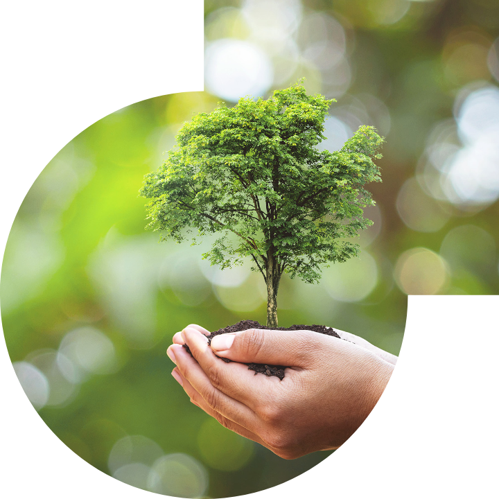 关怀人类、文化、环境与社会